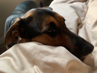 Garrett Sprague, MD tweet media