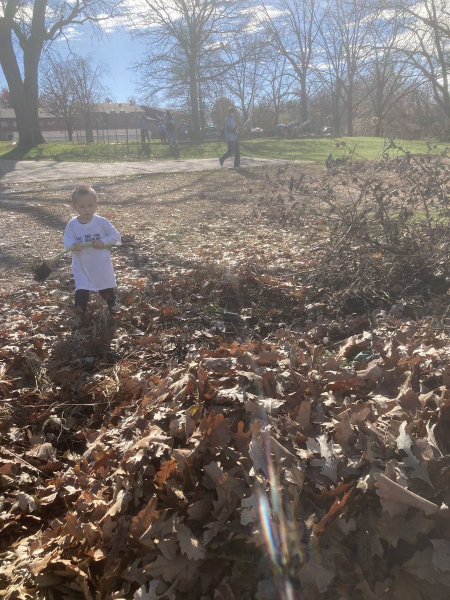 SAUGreenlife's tweet photo. Team GL and our favorite honorary member had tons of fun cleaning up the veggie garden and St. Vincent’s forest for Bee The Difference Day! @stambrose @sga_sau @SAUPresNovak https://t.co/o6prRyrEAp