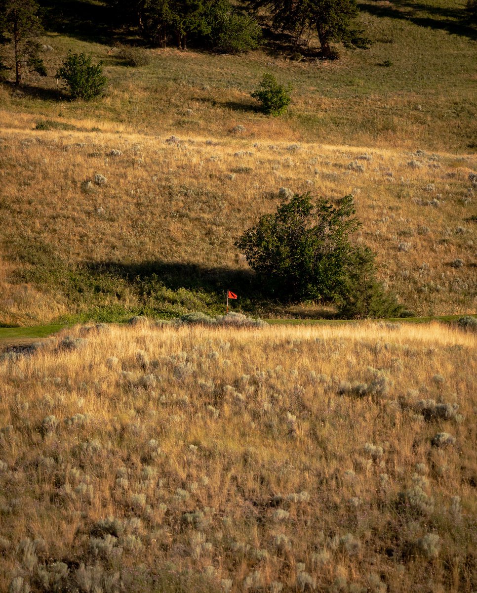 Sagebrush Golf Club tweet media