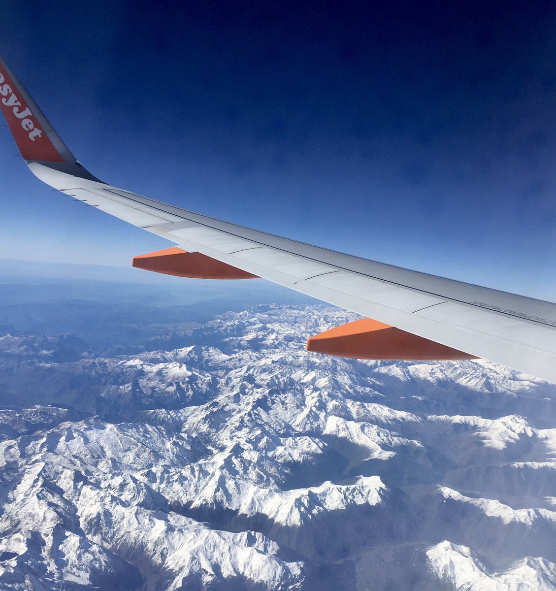 Bill Honeywell tweet media