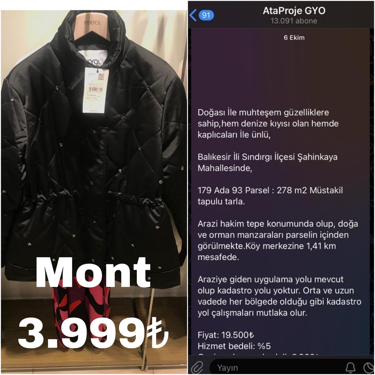 Murat Gültekin tweet media