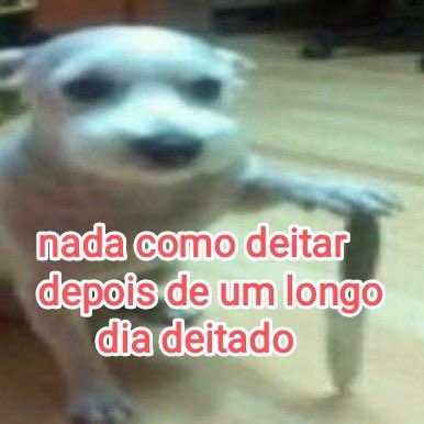 solteiro sim, sozinho sempre tweet media