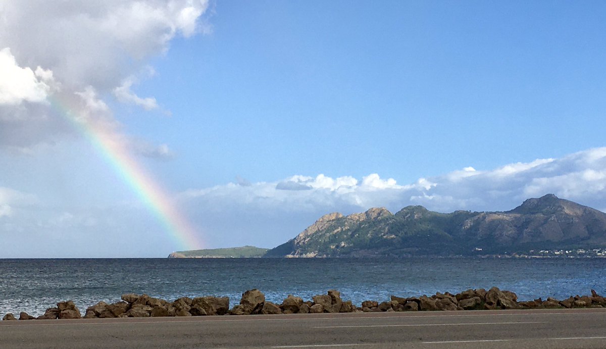 Bill Honeywell tweet media