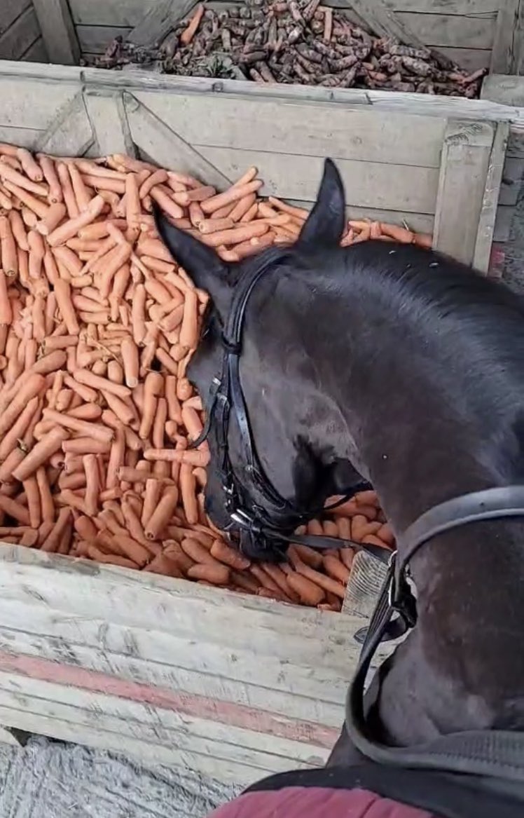 Brendan Powell tweet media