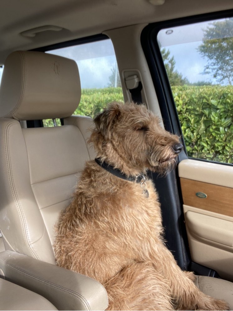 Brendan Powell tweet media