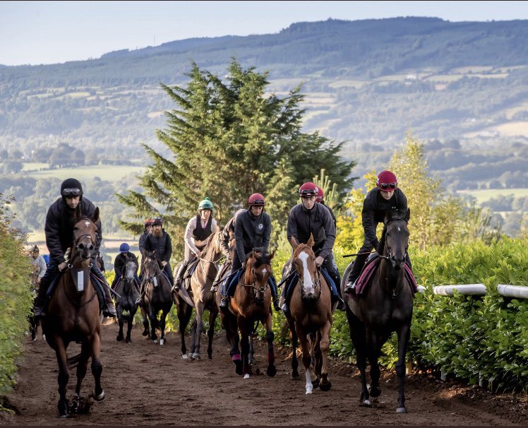 Brendan Powell tweet media