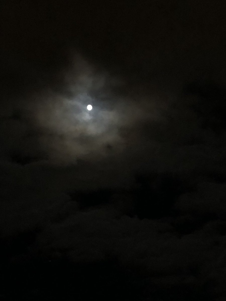 cdysseys's tweet photo. she's SO gorgeous tonight, pictures don't do her justice. https://t.co/2DxytSg7KS