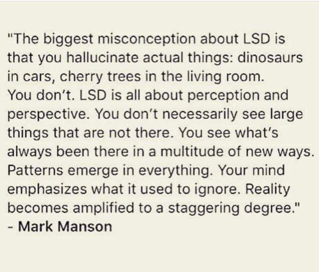 Taylor Sterling (@fathermckennaa) on Twitter photo 