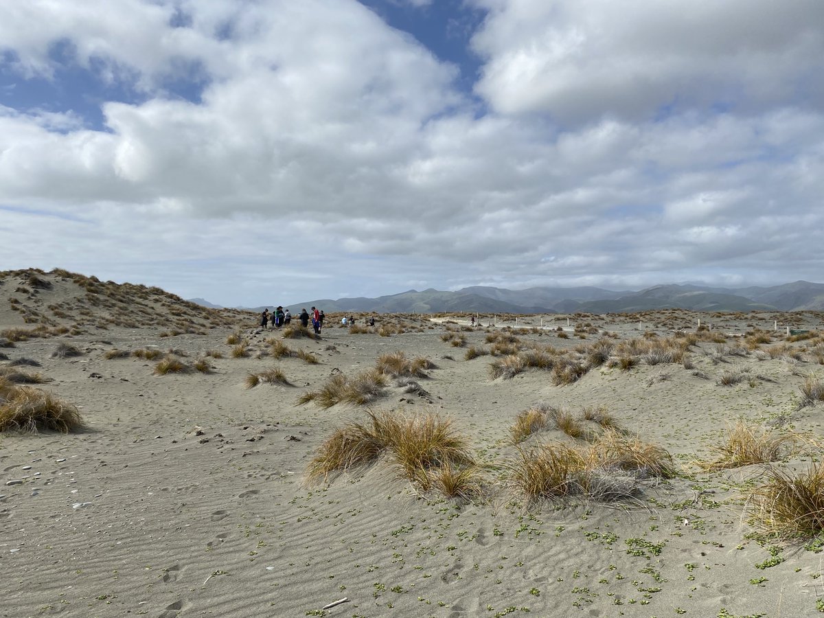 #lovemywork #Tawhakijv #whanau #monitoring #whenua