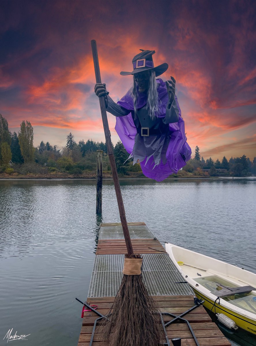 mackenzieimages's tweet photo. #Halloween #Halloween2022 #Seattle #PhotoOfTheDay #komonews I know it is a few days past Halloween, but with travel and assignments, just got a chance to do some magic on the "best of the best" captures from an amazing decoration here on Bainbridge Island, WA... https://t.co/1xMPVfxLQb
