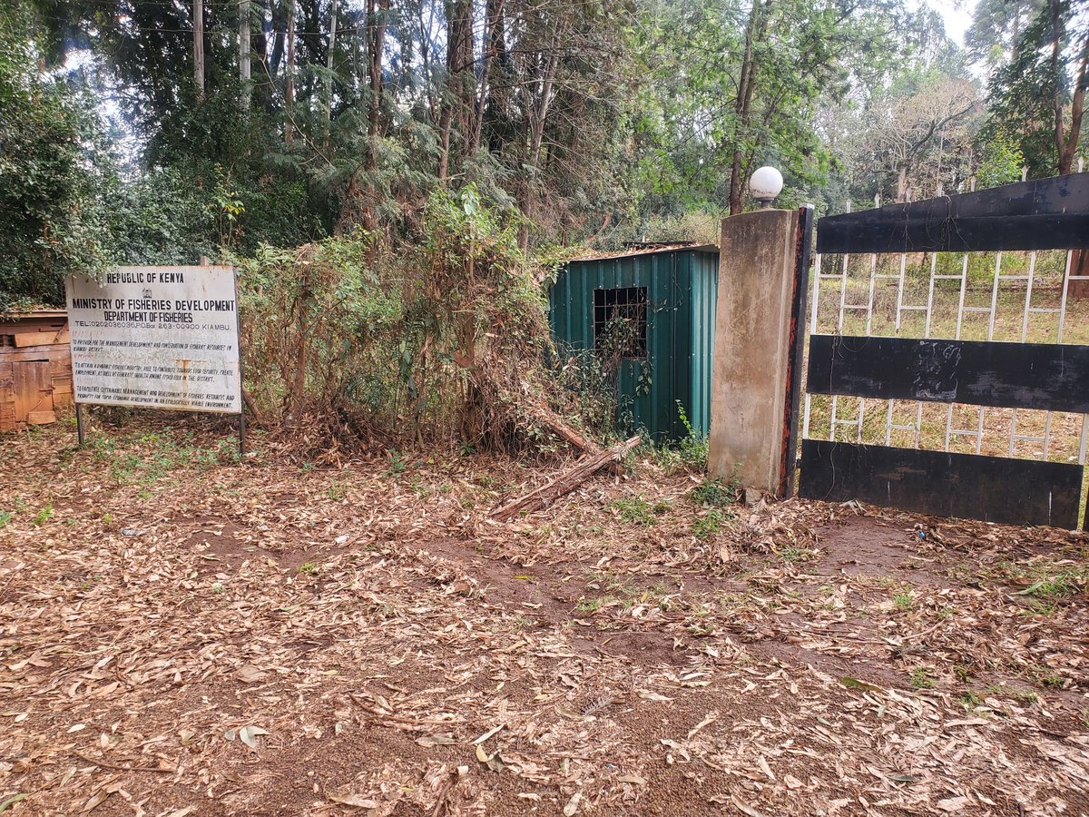 junaya_'s tweet photo. In a crying state for the Youth in Kenya looking for good jobs and yet the government offices stay idle like this with weeds all over and rusted padlocks. Not to forget the main statement 'EVERYDAY' of business week. Please do something for us. Be the change we voted to see. https://t.co/DqivQsq7qn