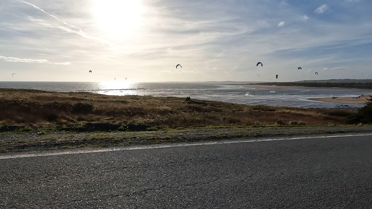 Hubble_BTerrier's tweet photo. Here are a couple of videos from my visit to Lawrencetown Beach today. And check out all those kite surfers! 😃 #BTPosse #NSBeaches #DogsOfHalifax #Hubblecam #Hubblevision #BeachDog https://t.co/R4ICnARoRu