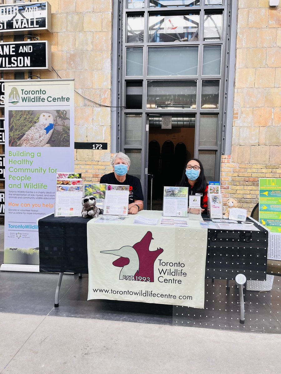 EcoFairToronto's tweet photo. Some of our exhibitors have already arrived and set up to meet everyone! @TWC_Wildlife @GreenpeaceCA @JuliaMorgan3 @PCAToronto https://t.co/P5D3lB8v58