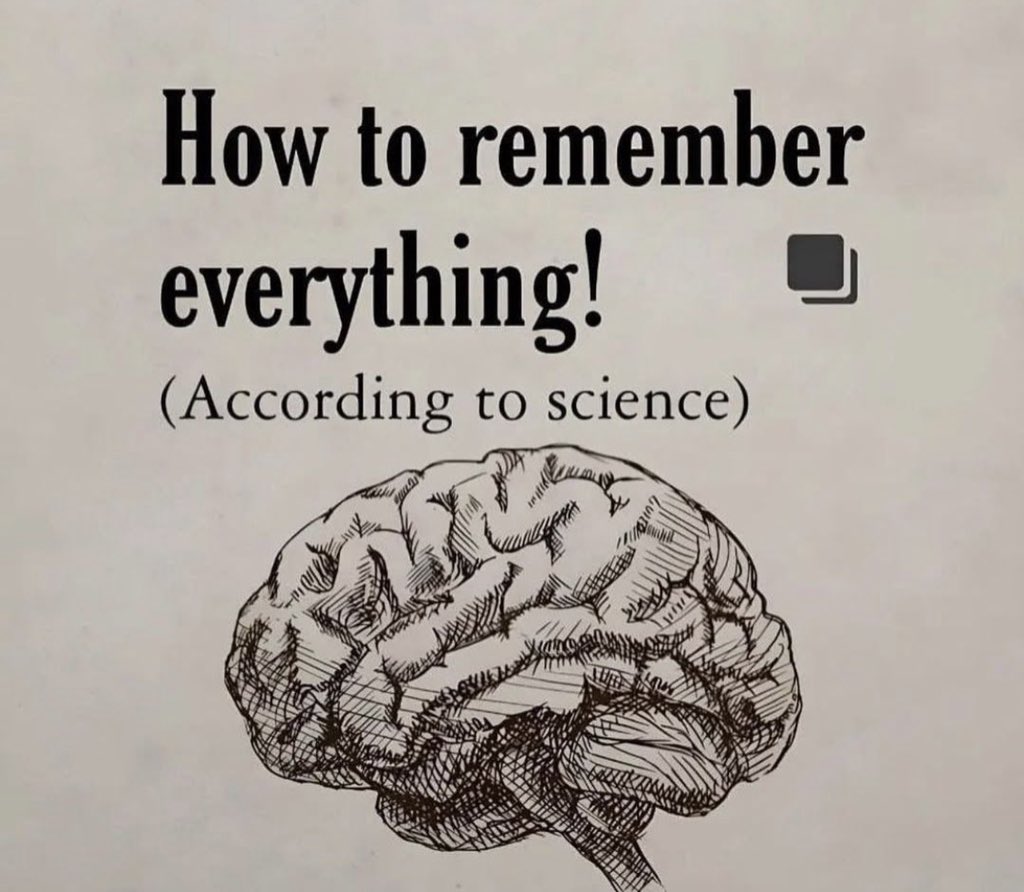 philosophyflows's tweet image. HOW TO REMEMBER EVERYTHING: