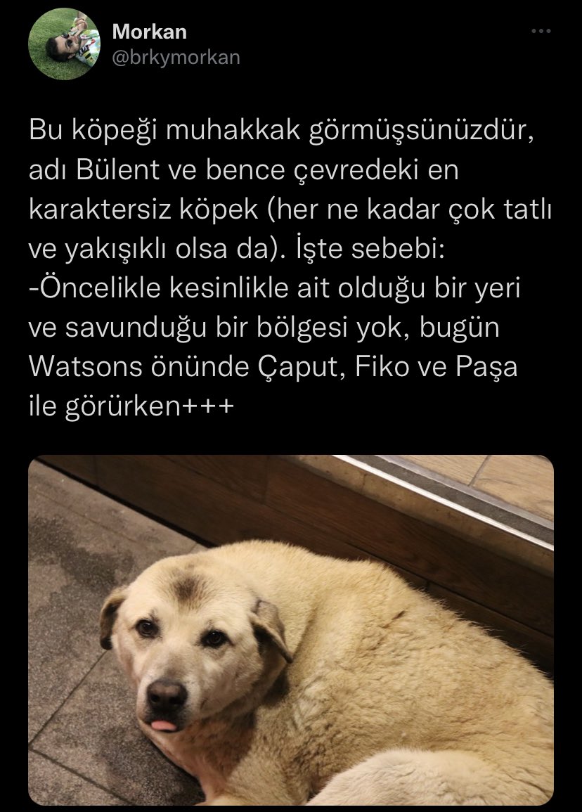 Bir duruşun olsun be kardeşim