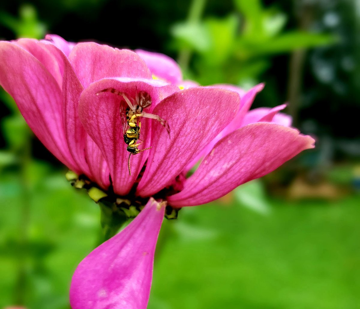 Lindsey Smith tweet media