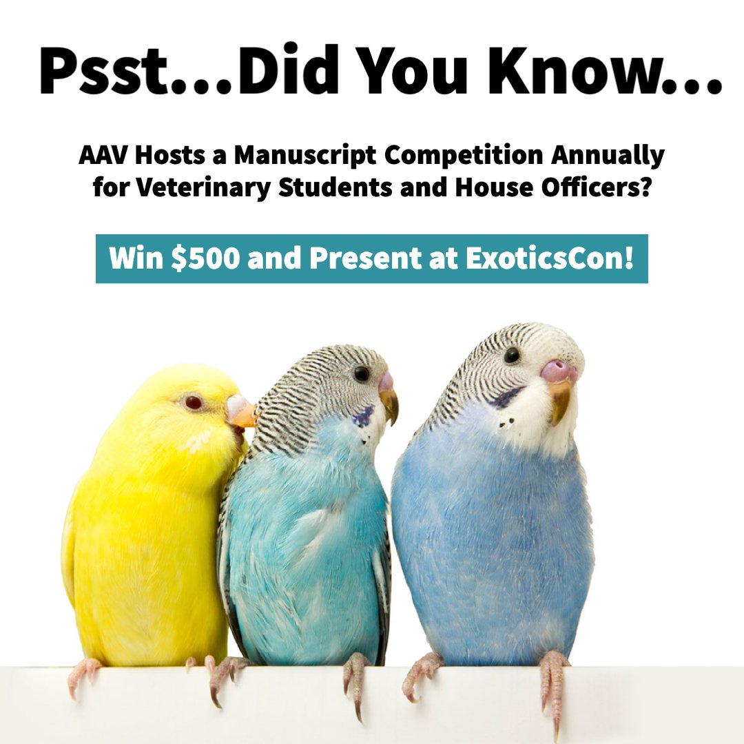 aavonline's tweet photo. The winners will present their findings at ExoticsCon in Boston, MA in August 2023! Submit your proposal and indicate you'd like to participate in the contest! https://t.co/z4W5xwP3u4

#aav #exoticscon #manuscriptcompetition https://t.co/HERS92DN5q