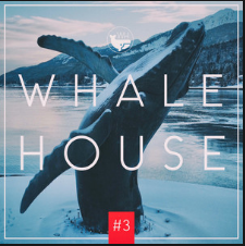 SebaGSMusic's tweet image. Whale House #3 - VA Compilation // Sweet Harmony #Spotify
Including:
Seba GS - Odyssey (Original Mix) #progressivehouse 

open.spotify.com/album/3x0NleZE…