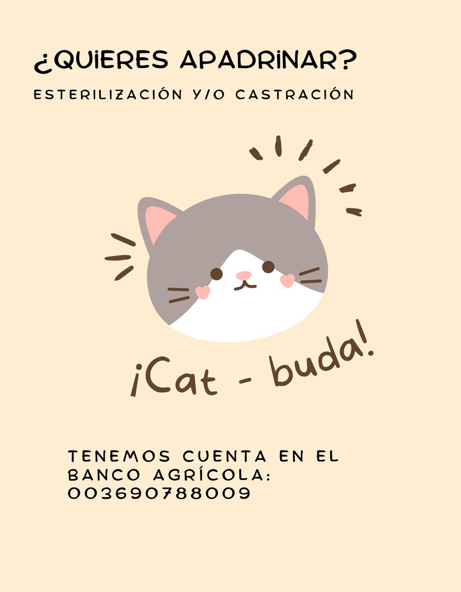 📢🖤 Corazones: yo sé que andan en sus despelotes personales, pero agradecería un RT y si pueden donar, doblemente agradecida. 

🐱 Tenemos que realizar 5 esterilizaciones y 1 castración, a más tardar, la próxima semana para evitar proliferación 🐱🖤
#CatBuda2022