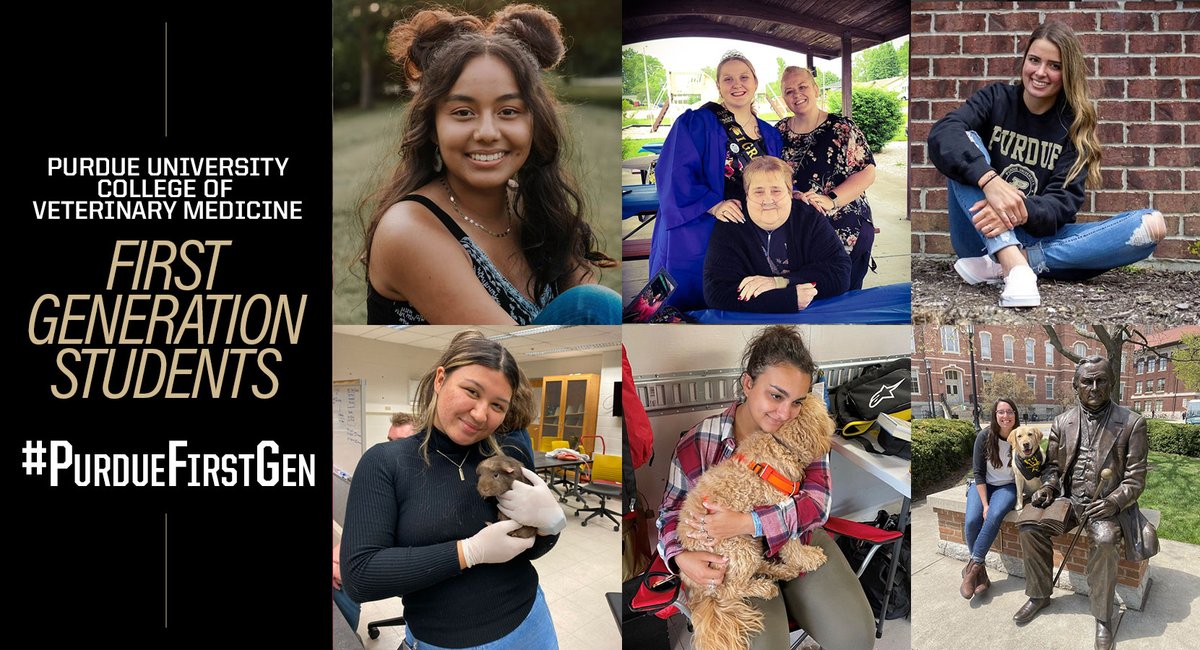 Tweet by Purdue Veterinary Medicine