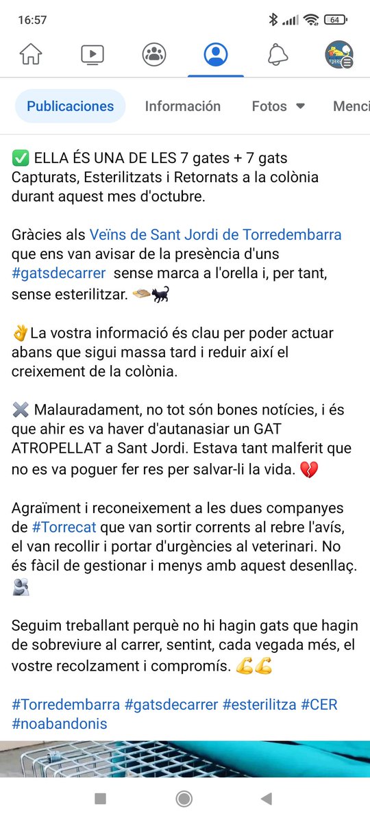 torrecatsocial's tweet photo. Esterilitzacions de #gatsdecarrer de #Torredembarra del més d'octubre: 7 gates + 7 gats.
No tot són bones notícies...😔
#esterilitza #noabandonis #CER #torrecat https://t.co/oy1Io6ozeH