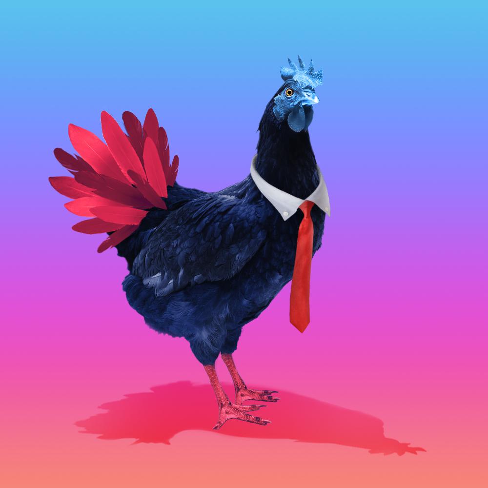 Chikn sales tweet media