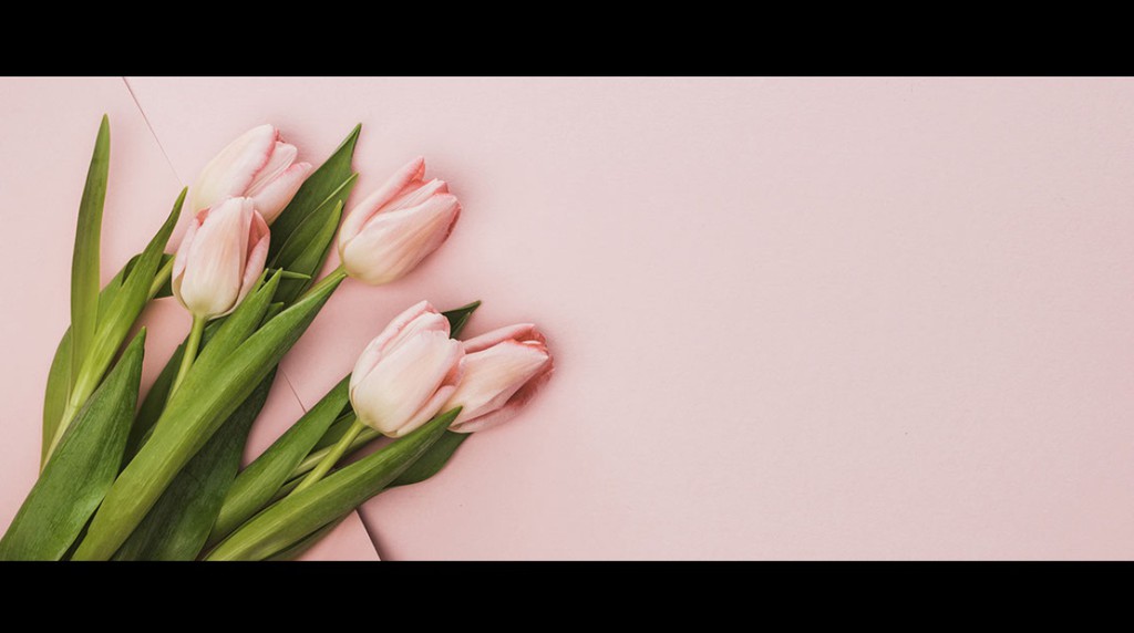 CamOrbits's tweet image. You don’t need to play gatekeeper as that’s part of our job but I always appreciate clients who respect the time of our sessions. (via @strippedbysia)

Read more 👉 lttr.ai/4TP9

#SexWorkers #Clients