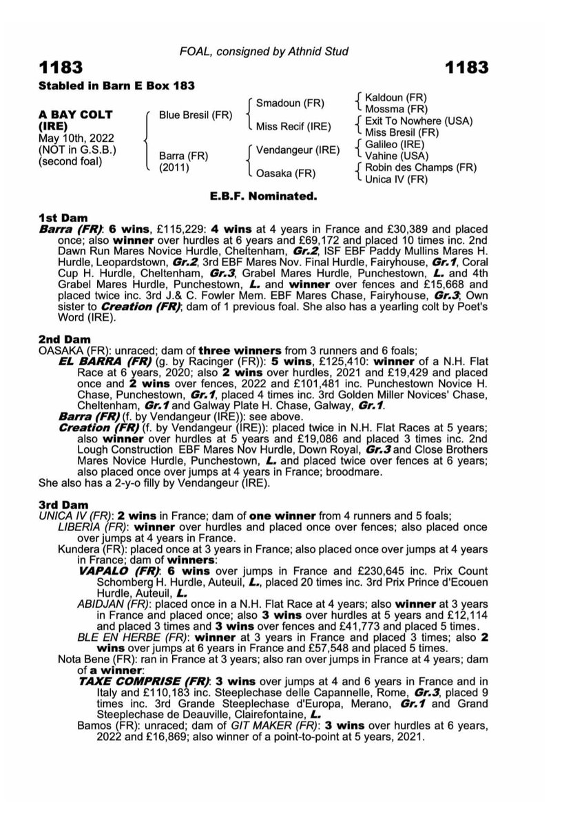 Well done El Barra. Lovely update for Barra's Colt by BLUE BRESIL selling this Thursday, lot 1183 @tatts_ireland