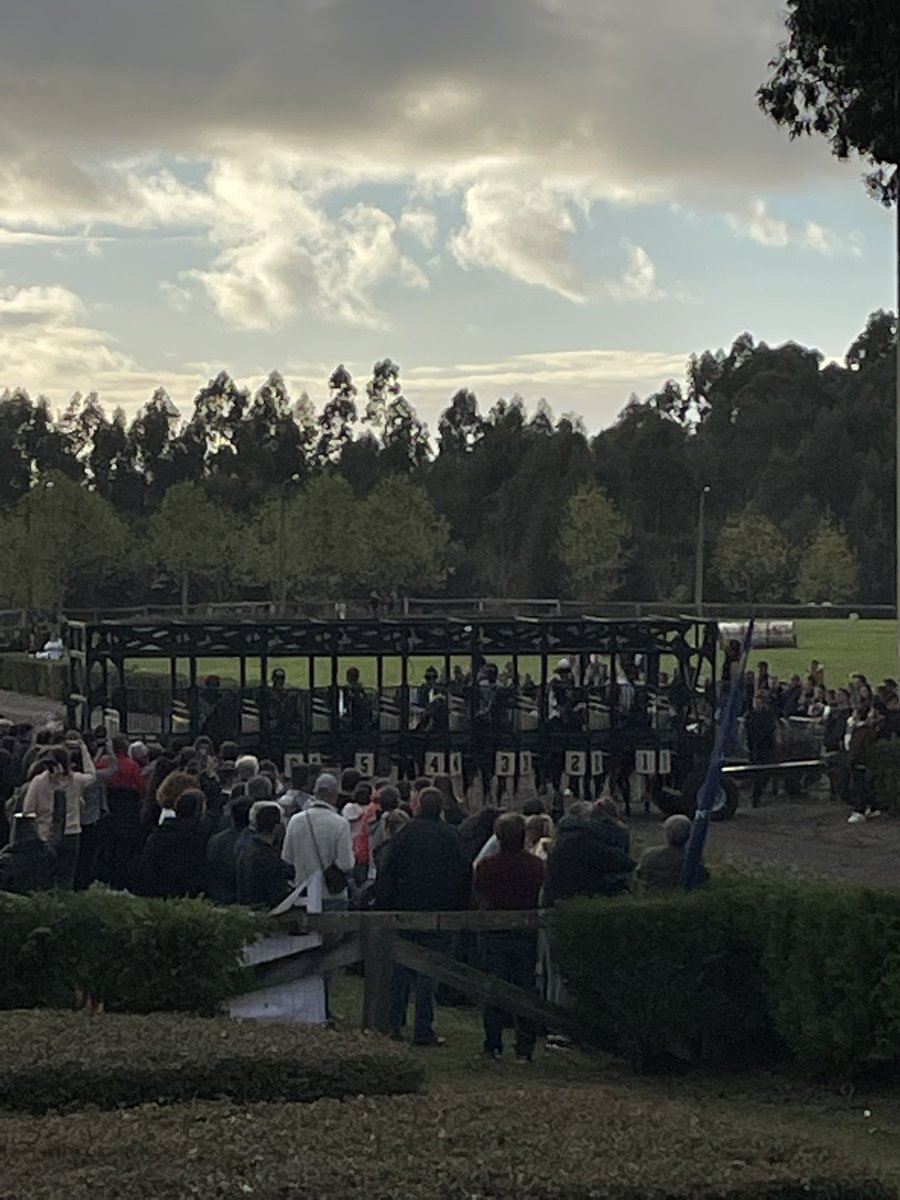 G Herrnberger tweet media