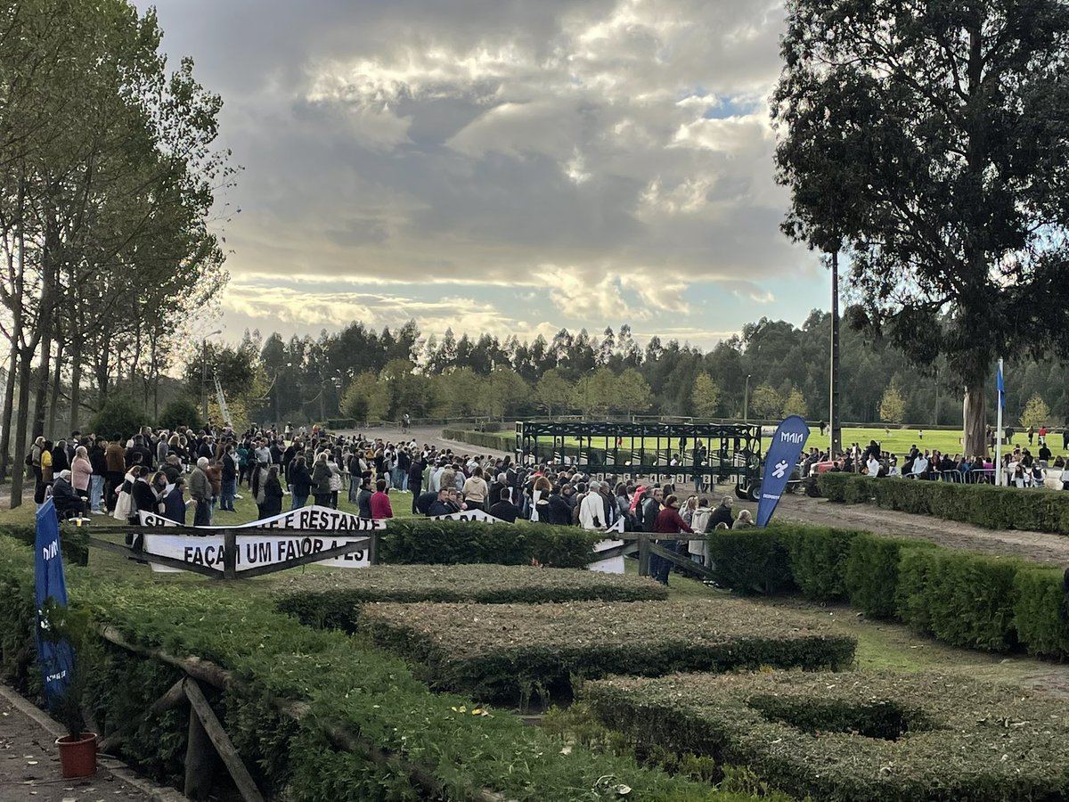 G Herrnberger tweet media