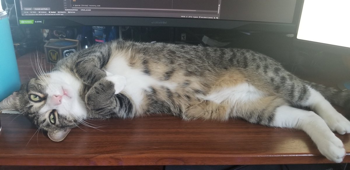 MLGAndrewN's tweet photo. @CatWorkers https://t.co/HEcFQE9ta0