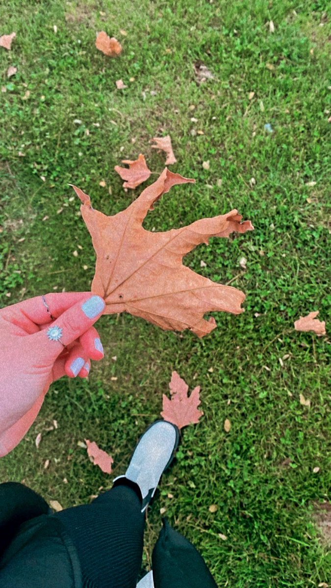 sevimkkaya's tweet photo. Hayatın güzelliklerini farkına varın.🍁 https://t.co/b5lPVyZboO