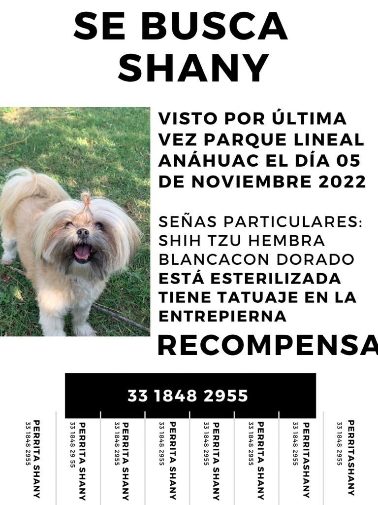 ‼️AYUDA POR FAVOR‼️

ELLA ES #SHANY FUE VISTA AYER POR ULTIMA VES EN EL PARQUE LINEAL ANAHUAC, ESTA Y TRAE TATUAJE, LA FAMILIA ESTA DESESPERADA Y OFRECE UNA RECOMPENSA, LES PEDIMOS SI LA TIENEN EN RESGUARDO SE COMUNIQUEN AL 📱3318482955