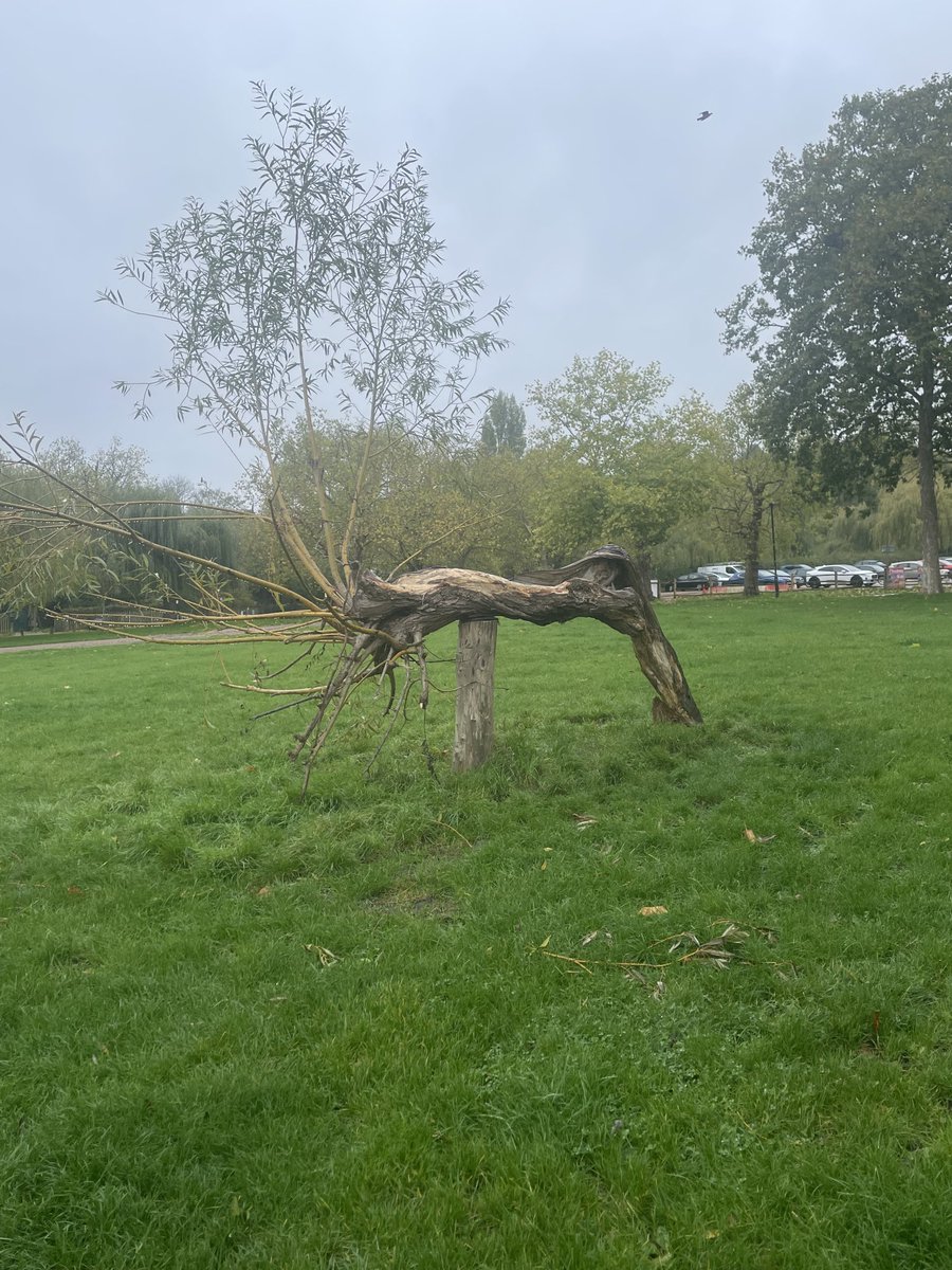 alastair-campbell-on-twitter-this-is-a-weird-one-hampstead-heath