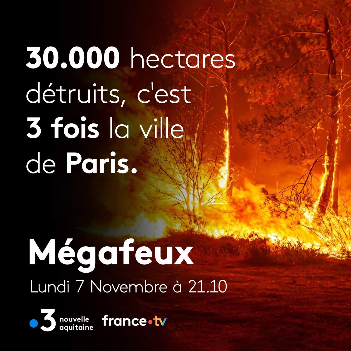 F3Aquitaine's tweet photo. Le chaos.
#incendies #feux #feuxdeforet #rechauffementclimatique #pompiers #gironde #testedebuch #arcachon #landiras #NouvelleAquitaine https://t.co/0tVIHzW0vR