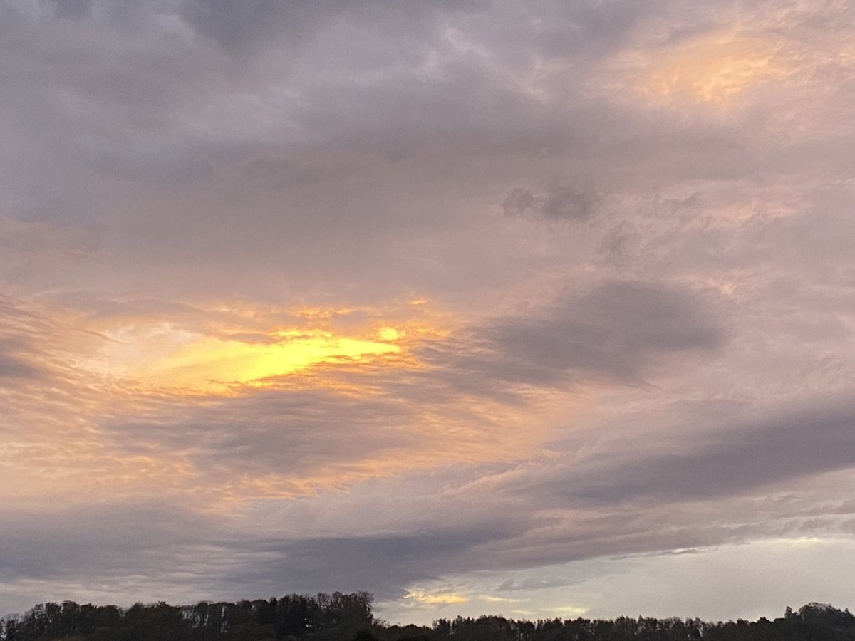 Madame_Poppins's tweet photo. #MonBalcon : la grisaille de novembre, un espoir malgré tout.
J’espère que même si ton moral flanche, ce soir ou souvent, tu vis aussi des moments plus lumineux. https://t.co/7NY64yKVGc