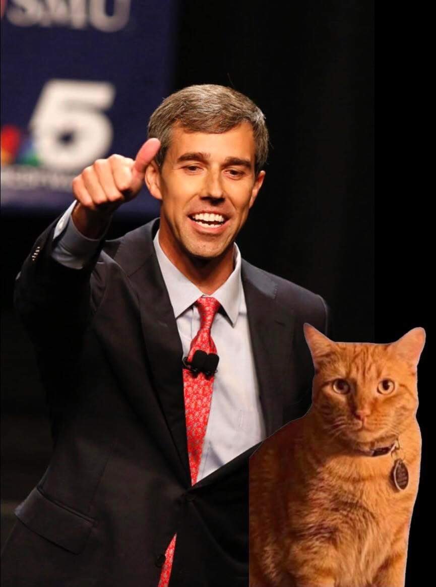 @WUTangKids @TeamBeto @texasbeeworks My cat #Milo endorses @BetoORourke