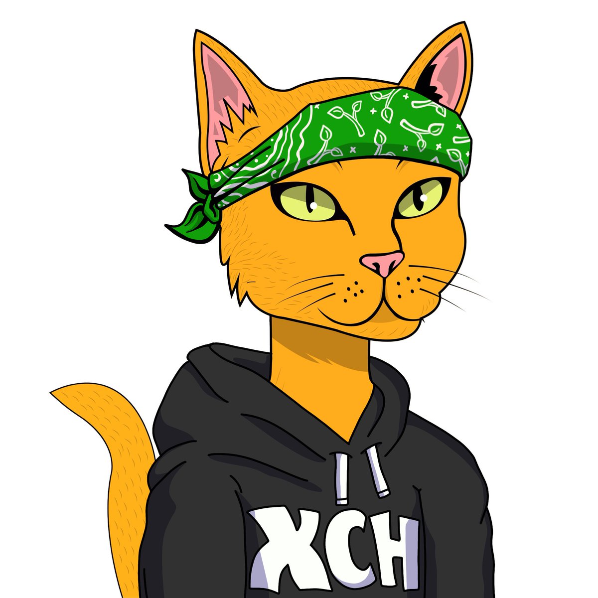 Space Time Cats 🌱 tweet media