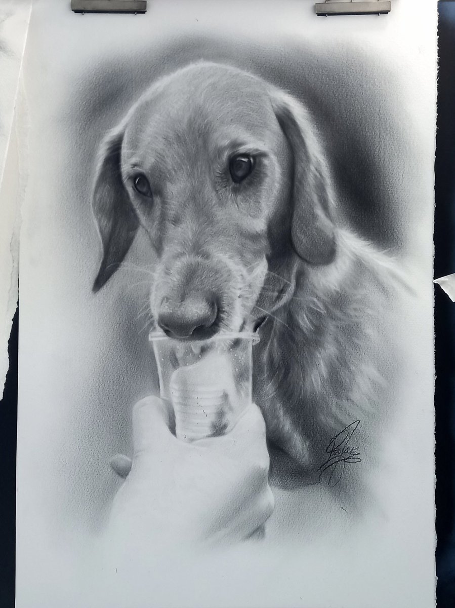 paulduncan85's tweet image. To all my followers  
I want to see how many of you see this post , if you do plz RT it 
Hand painted portraits form your photos available 
Dm me or email pickupapainting@gmail.com