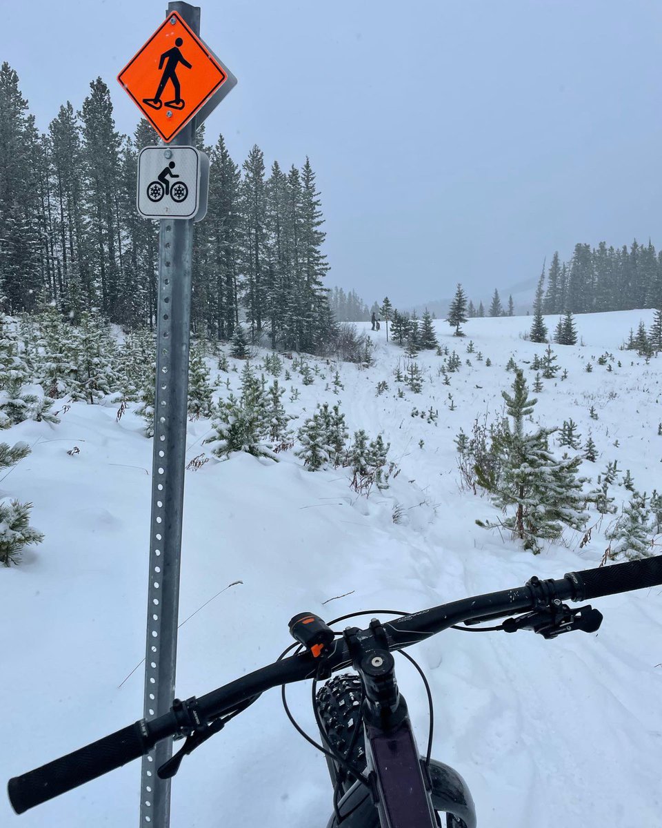 MsAngelPE's tweet photo. What a difference 1 week makes in choice of activities here in Alberta 😂 Winter is here folks! Embrace it! #fatbikefun @takemeoutside https://t.co/tfd0KFINL6