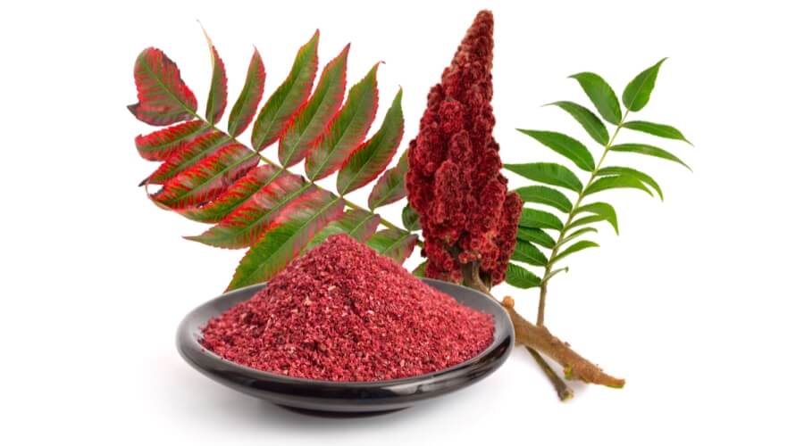 ماذا تحصل عندما تشرب شاي السماق مرتين اسبوعيا  
يخفض الكوليسترول الضار 
يخفض مستويات السكر
قاتل للفطريات والميكروبات
يقوي جهاز المناعه للتخلص من الفيروسات 
يمنع هشاشه العظام
لعمل الشاي
ينقع مطحون البذور في ماء بارد ليله كامله ويصفى جيدا ويقدم بارد
د محسن النادي 
نابلس فلسطين