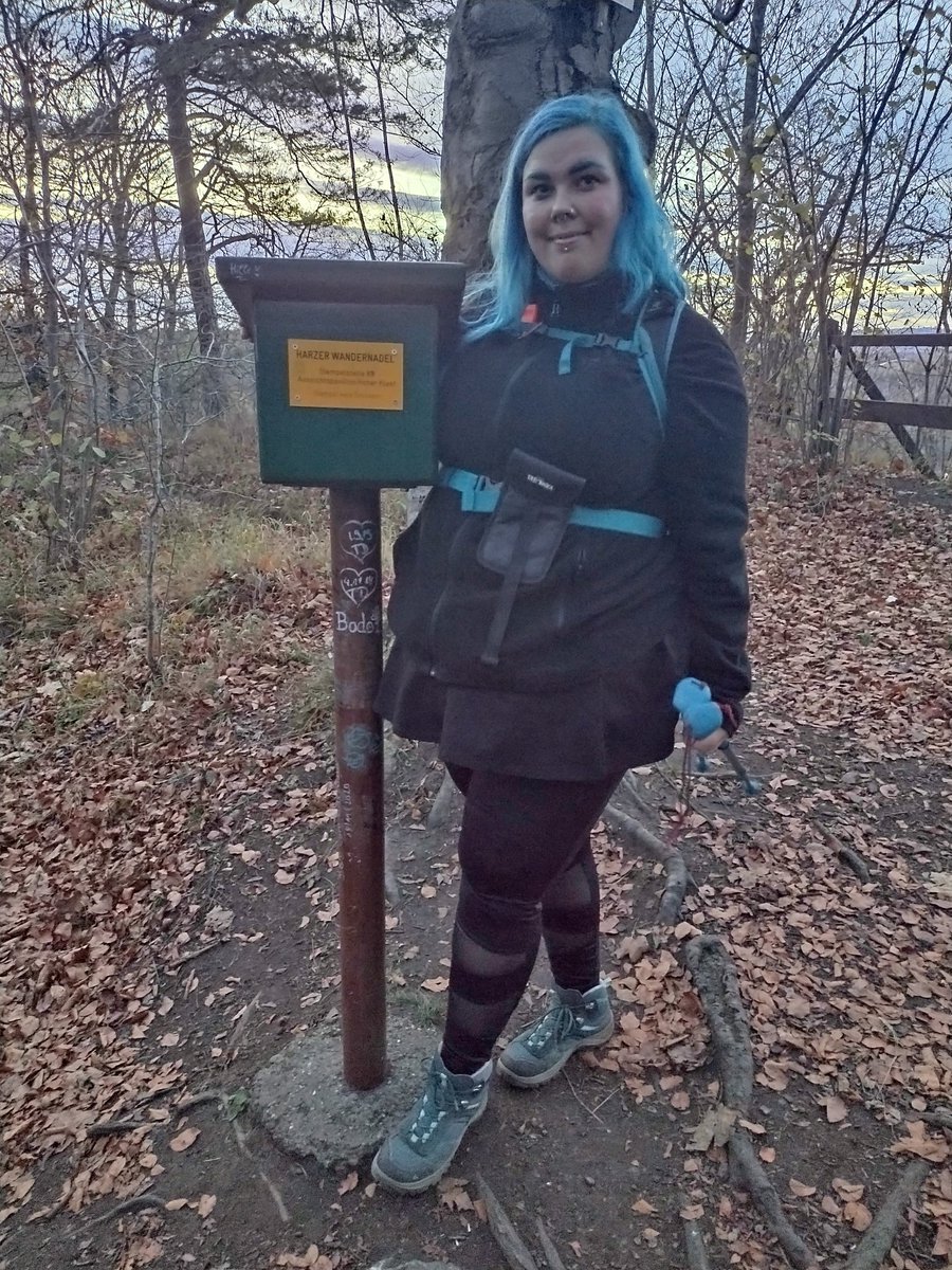 Pecca 🦇 tweet media