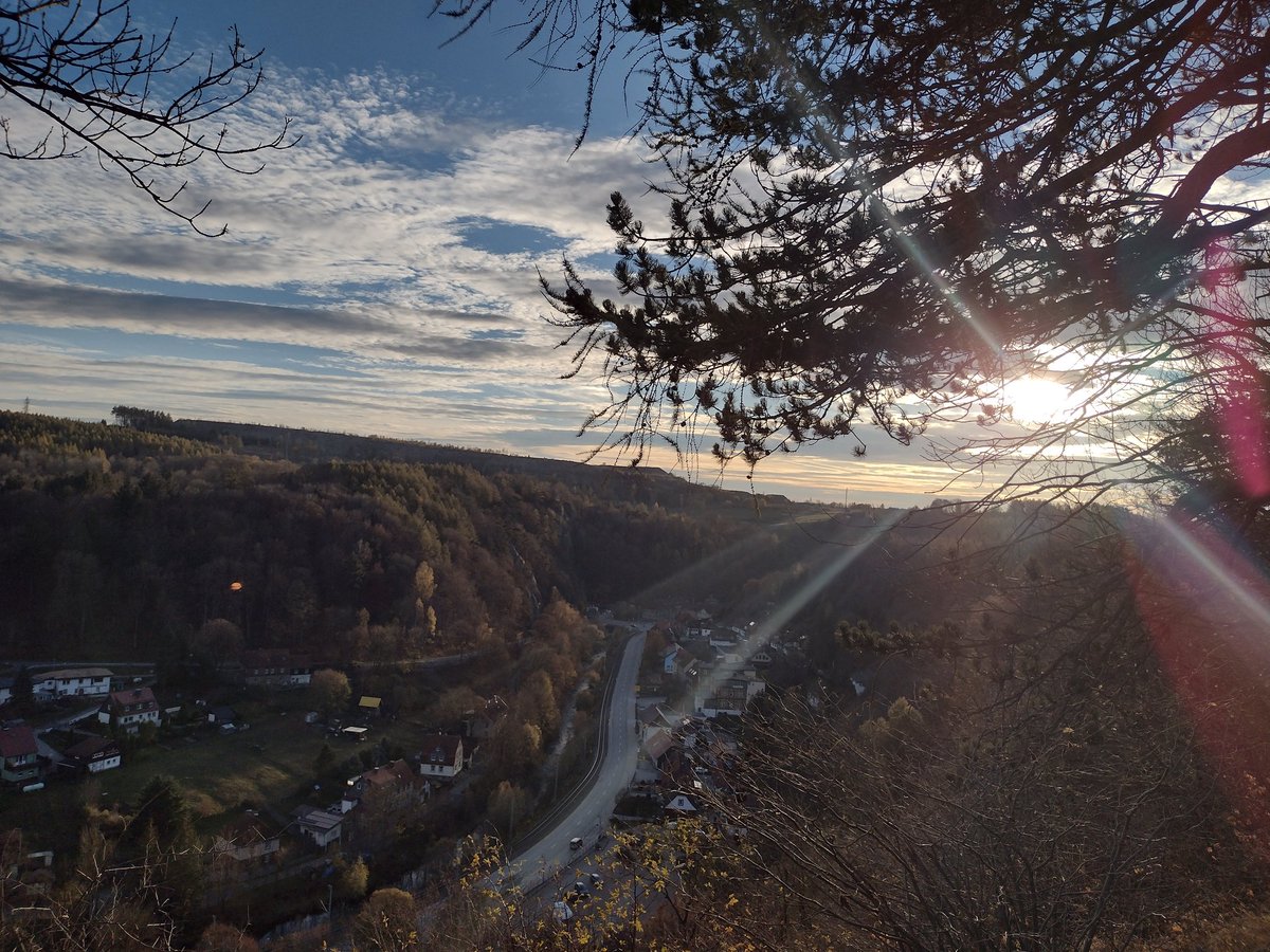 Pecca 🦇 tweet media