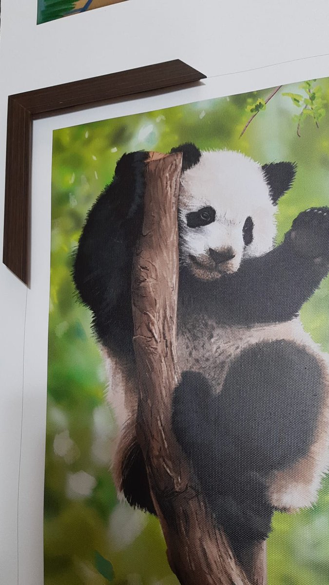 HectorAlef's tweet image. prévia da minha primeira ilustra impressa e com moldura em andamento.

ansioso pra ver esse trabalho pronto 😬

pra quem esta curioso o quadro vai ser em tamanho A3
30cm x 42cm e foi impresso em Canvas Poliéster.

#ilustração #Ilustration #DigitalArt #Panda #fineart