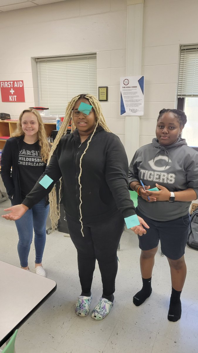HealthCare2B's tweet photo. Some of our foundations students racing to label the most common pulse points. They thought they were racing, I knew they were learning!!!! https://t.co/HZWKBkckfk