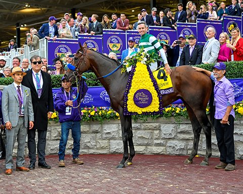BH_AEberhardt's tweet photo. A super star! 🌟🤩🏇 @BreedersCup #Classic winner #Flightline has been retired to @LanesEndFarms. The son of #Tapit (@Gainesway) is out of #Feathered at breeder Jane Lyon's @MoreSummerWind. Well done @david_ingordo Congrats to all Flightline connections and fans! https://t.co/ePZ3uV5Ih7