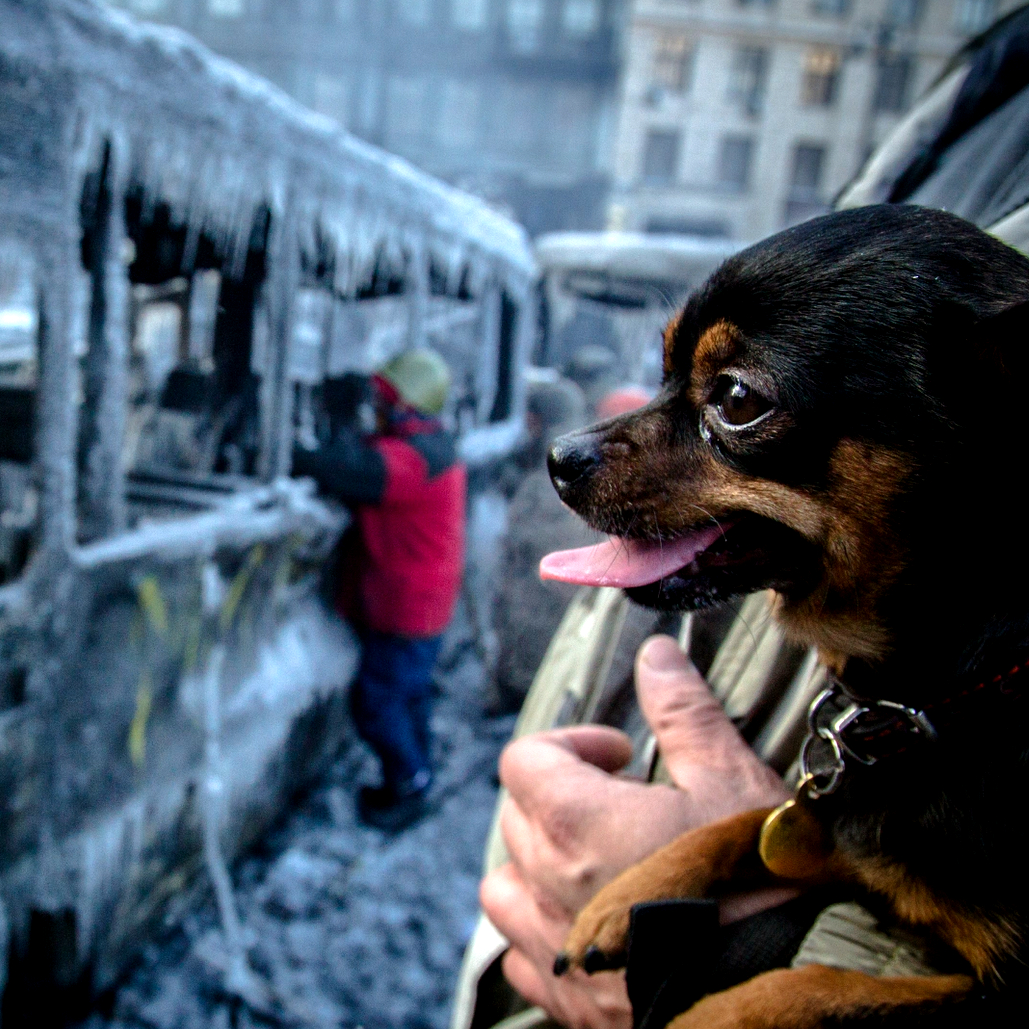 Music4Ukraine's tweet photo. For more than half a year, people have been trying to flee their devastated lands. Together, we can help them get the support they need!

Watch the video: https://t.co/GyZQ404Fyd, or donate here: https://t.co/xGpKt9aO6U 

#Music4Ukraine #charitysingle #bandaid https://t.co/3mRl1OzYBR