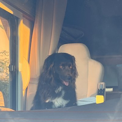 andreaskmrt's tweet image. #NeuesProfilbild