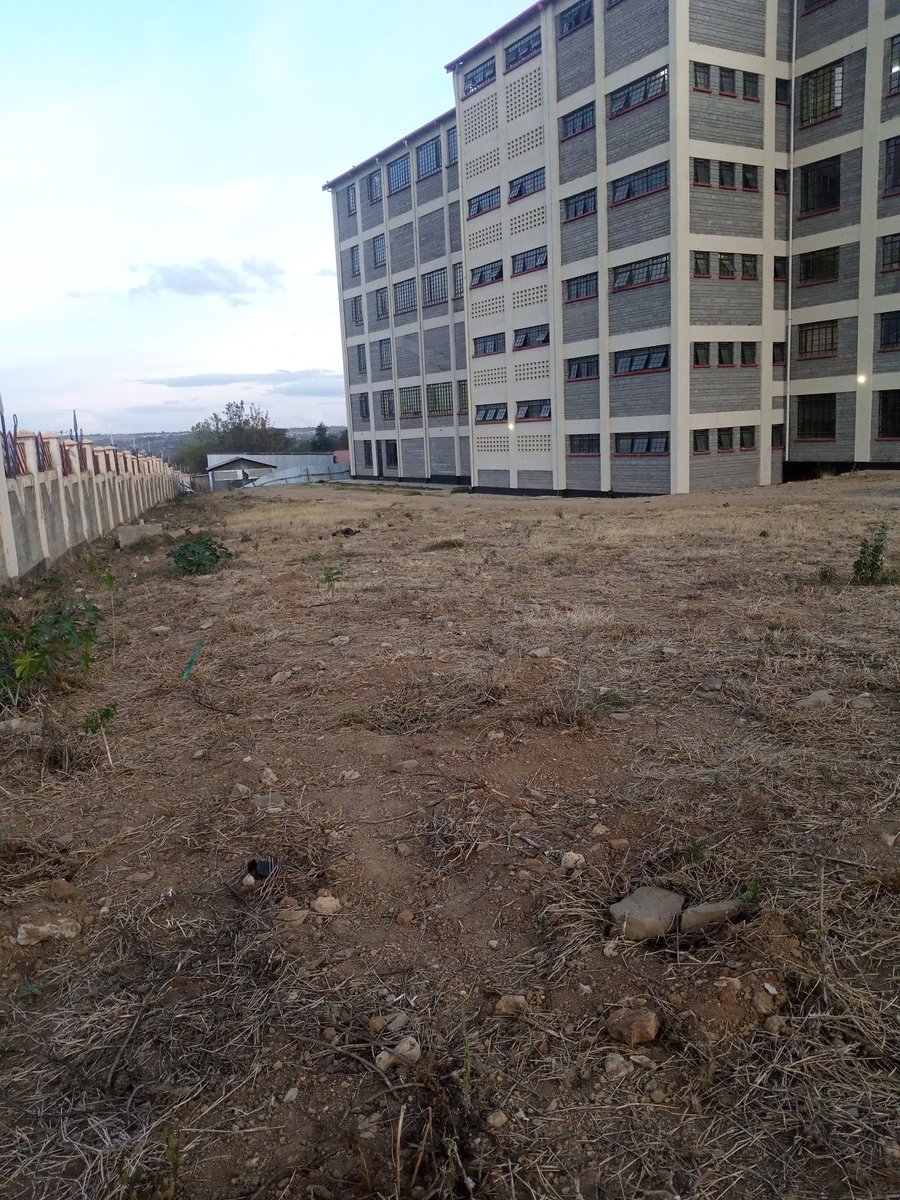 mmuweclub's tweet photo. Narok is still experiencing dry season and action has to be taken. As MMUWECLUB we have to make sure planted trees survives.
#NatureCall https://t.co/bH54U7IBTe