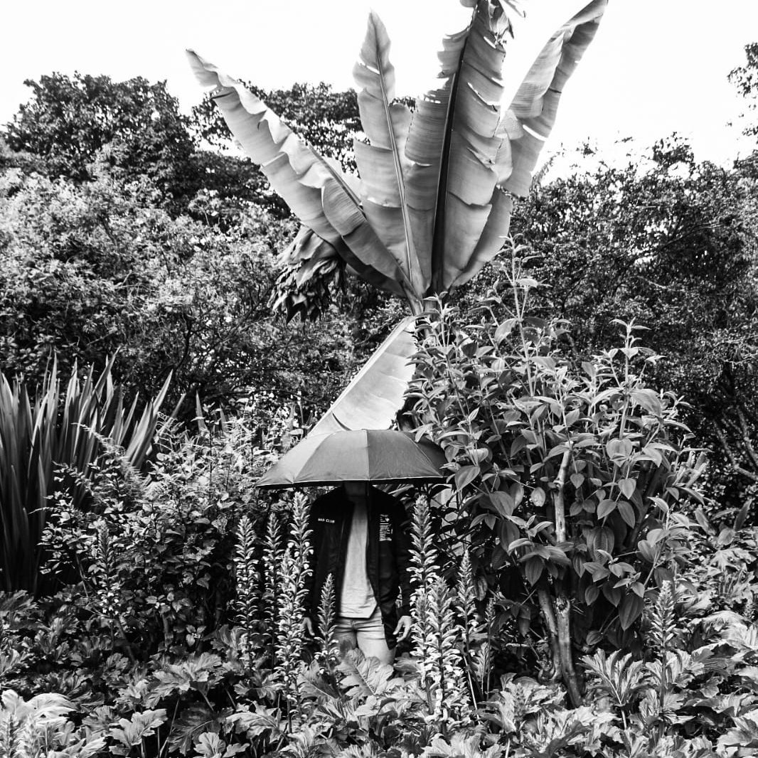 Visiones.
.
.
.
Bogotá  - Colombia